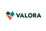 Valora 简约彩色雪山 logo